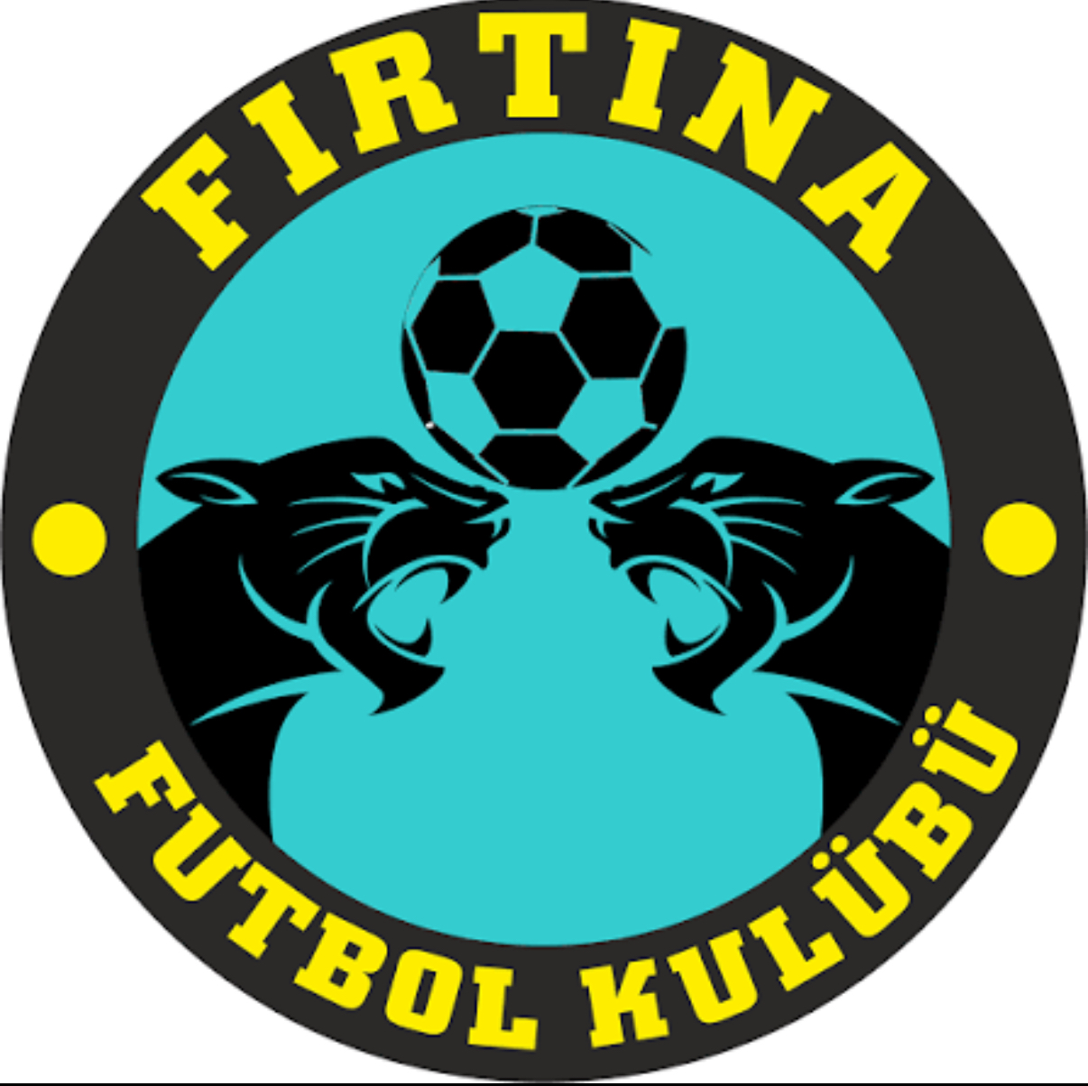 FC FIRTINA